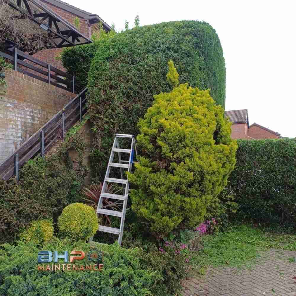 Landscaping & Outdoor Maintenance