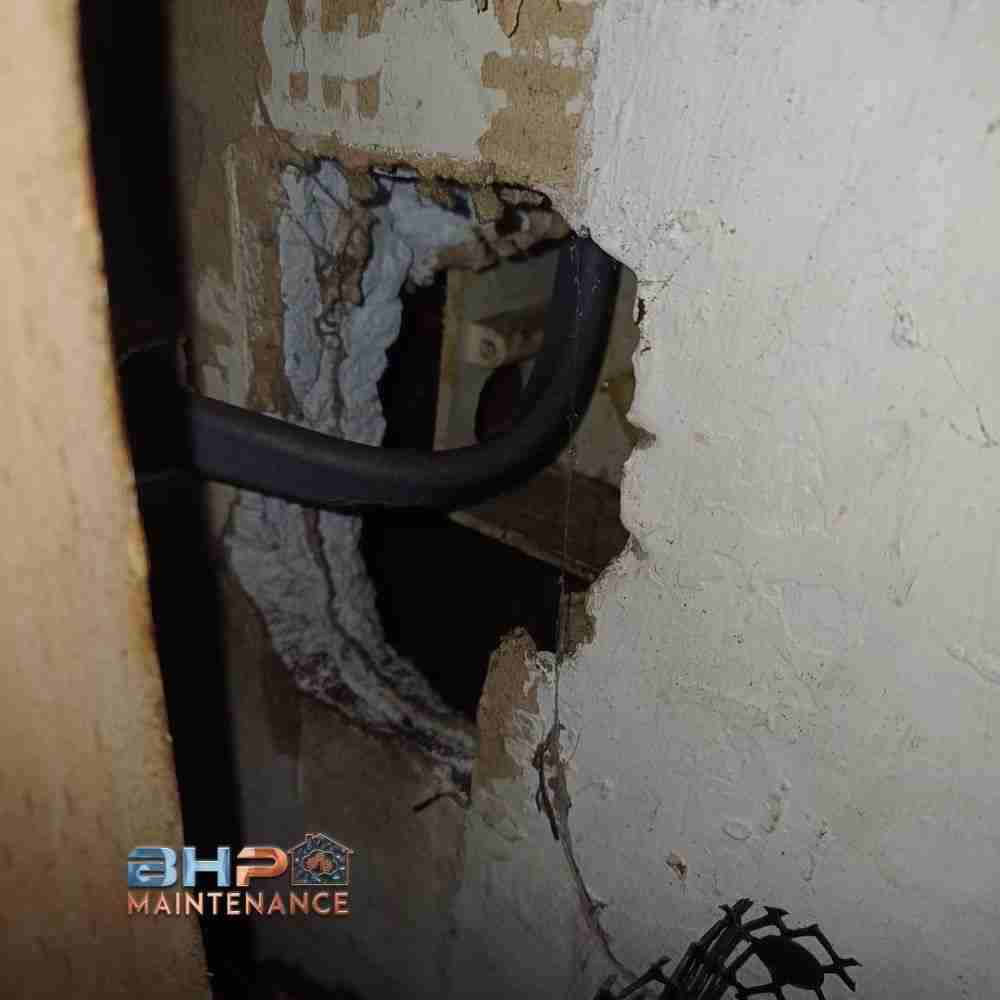 Pest Control Services